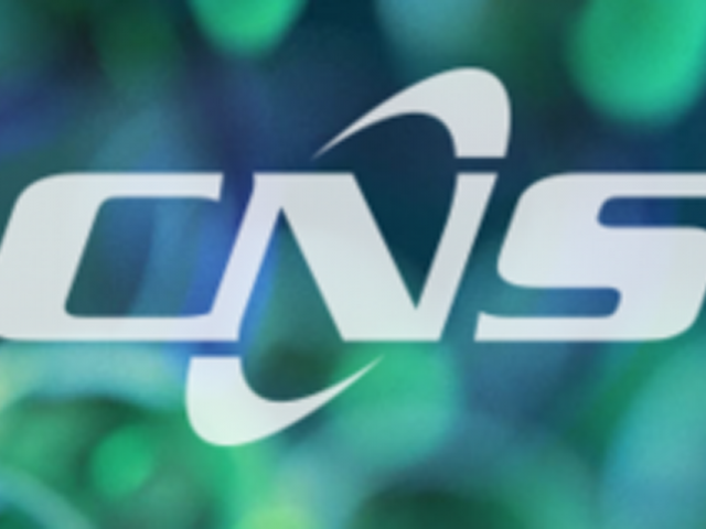 CNSI